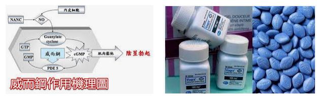 威而鋼作用原理