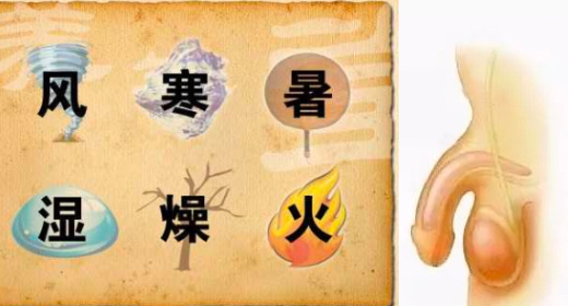 外邪侵袭 外邪侵袭