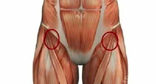 刺激腹股溝管部強化睾丸功能 刺激腹股溝管部強化睾丸功能