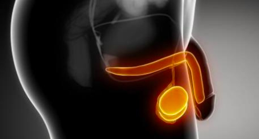 患有以下疾病 患有以下疾病